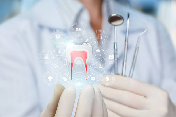 Best General Dentistry  in Galeville, NY